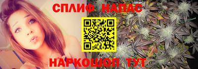 прущие грибы Новодвинск