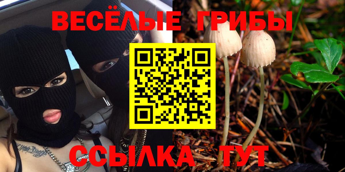 Псилоцибиновые грибы Psilocybine cubensis  Псилоцибиновые грибы ЛСД  Вход с VPN  Воронеж 