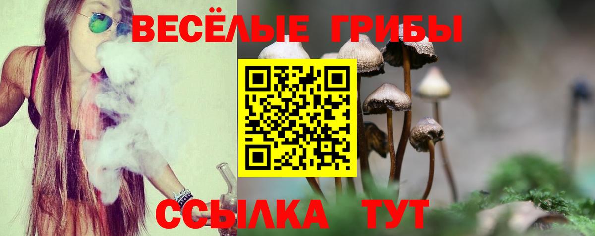 Галлюциногенные грибы Magic Shrooms Воронеж